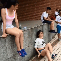 缓和心情的GIF动图：没有对比就没有伤害