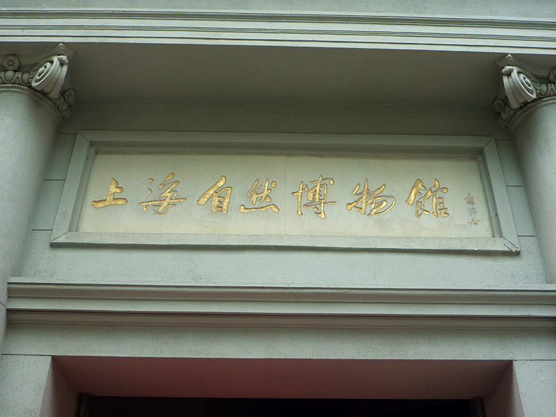 P1070492 上海自然博物馆(一)恐龙