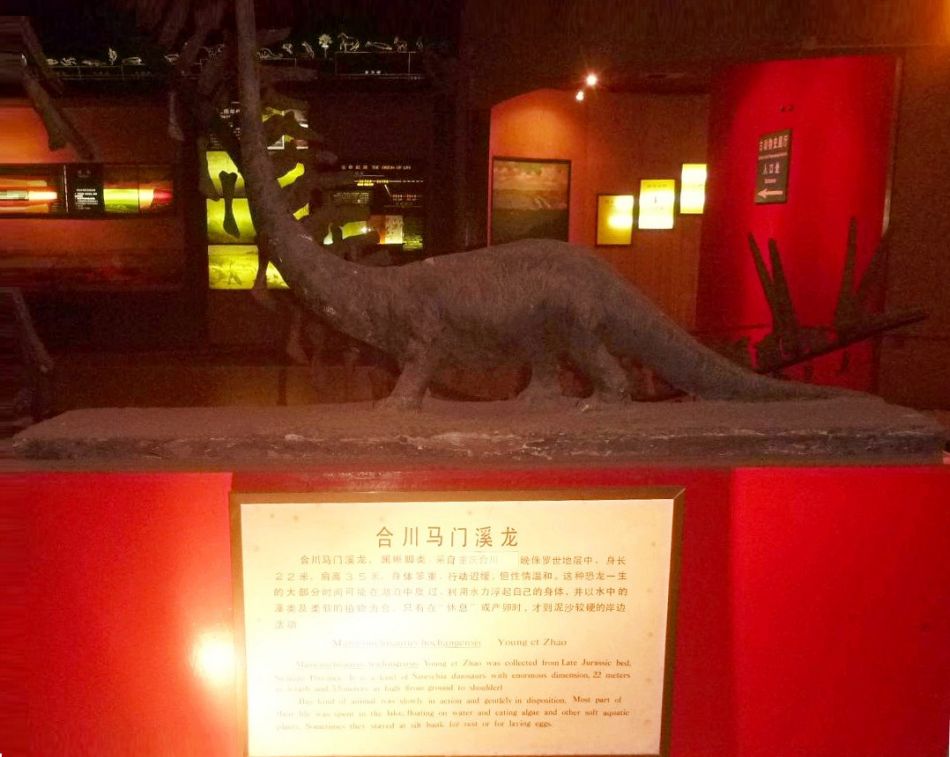 P1070503 上海自然博物馆(一)恐龙