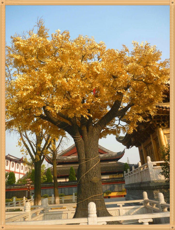 P1230377 镇寺之宝灵雨观音和五佛冠~东林寺(二)