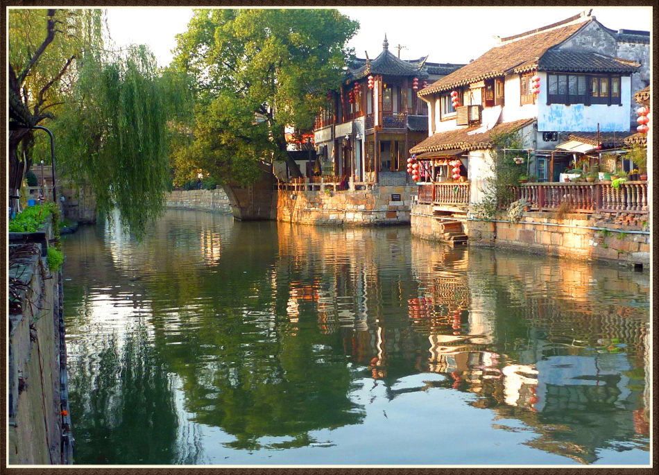 P1120493 千年古镇—枫泾~旖旎水景