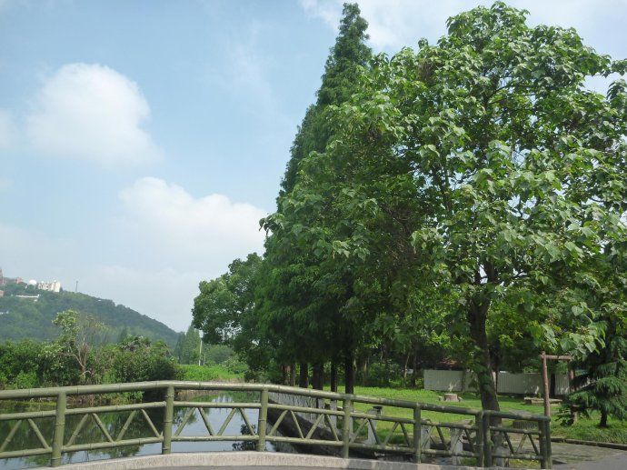 23 上海佘山国家森林公园(一)
