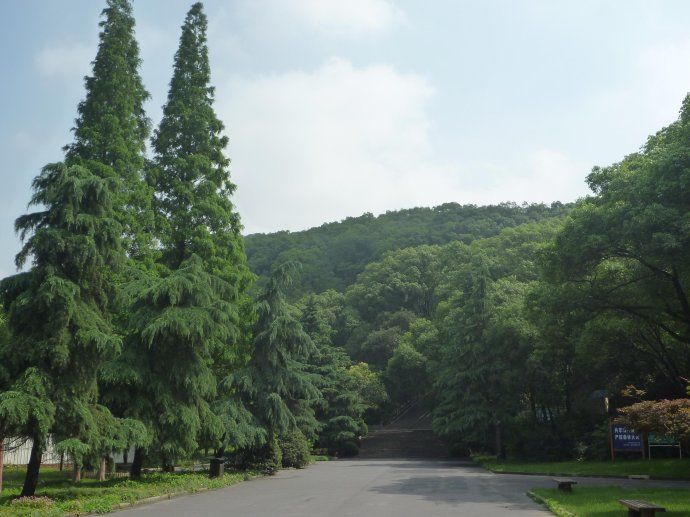 24 上海佘山国家森林公园(一)