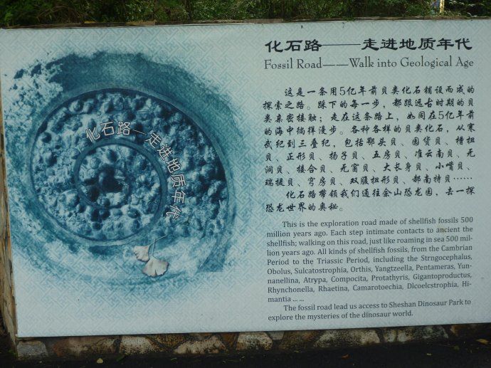 25 上海佘山国家森林公园(一)