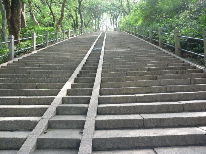 26 上海佘山国家森林公园(一)