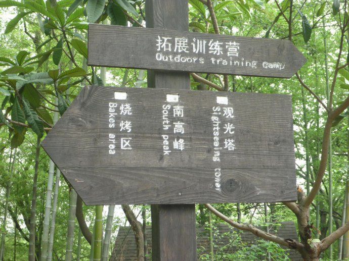 30 上海佘山国家森林公园(一)
