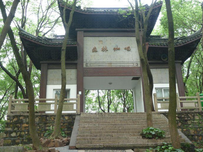 38 上海佘山国家森林公园(一)