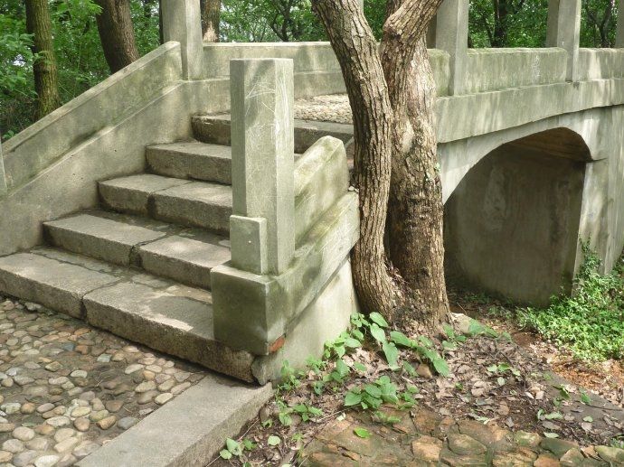 45 上海佘山国家森林公园(一)