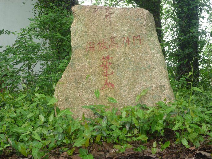 48 上海佘山国家森林公园(一)