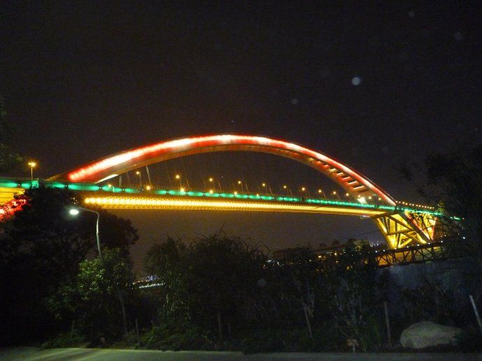 P1100060 变色龙亦变色桥