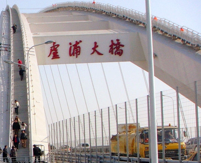 1120456 变色龙亦变色桥