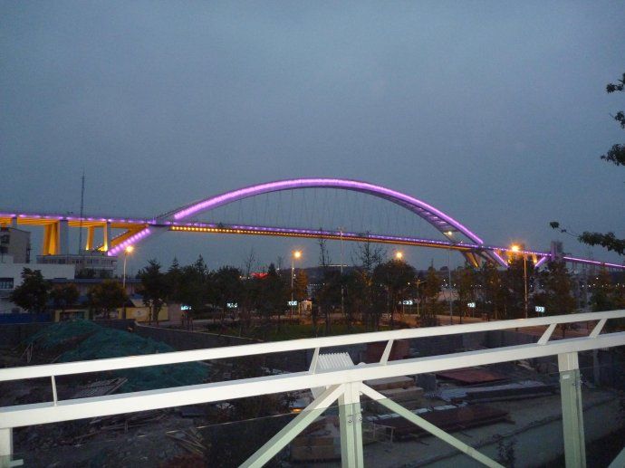 P1100066 变色龙亦变色桥