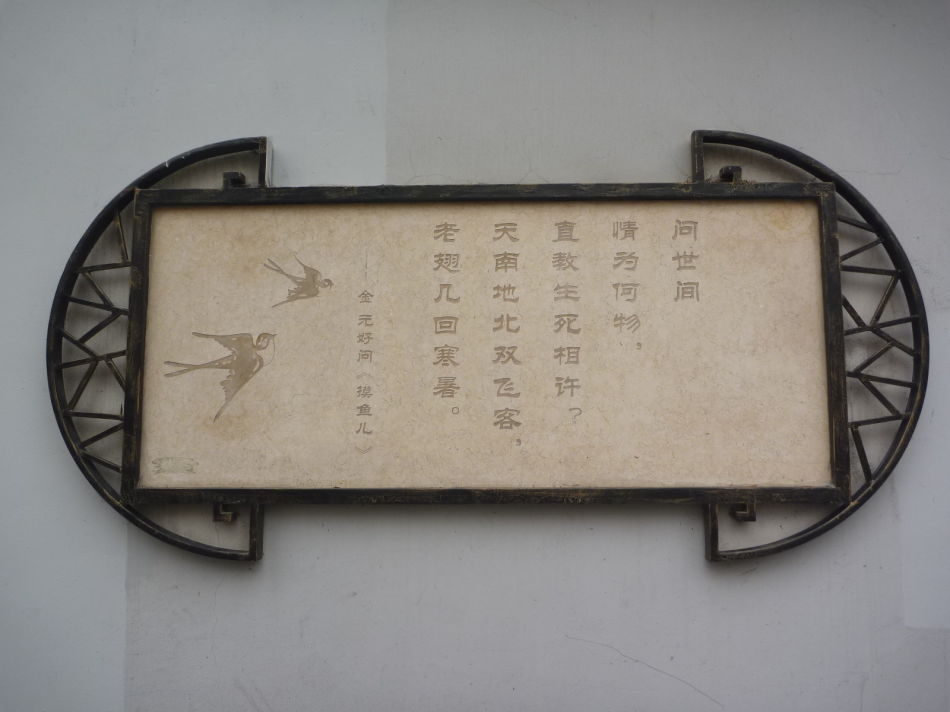 P1140454 甜爱路_上海最浪漫的路