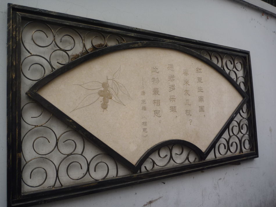 P1140462 甜爱路_上海最浪漫的路