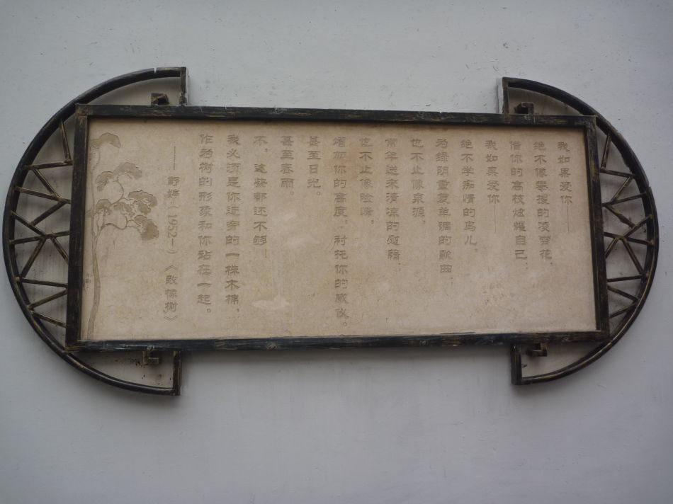 P1140442 甜爱路_上海最浪漫的路