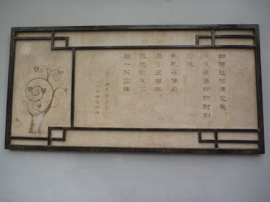 P1140446 甜爱路_上海最浪漫的路