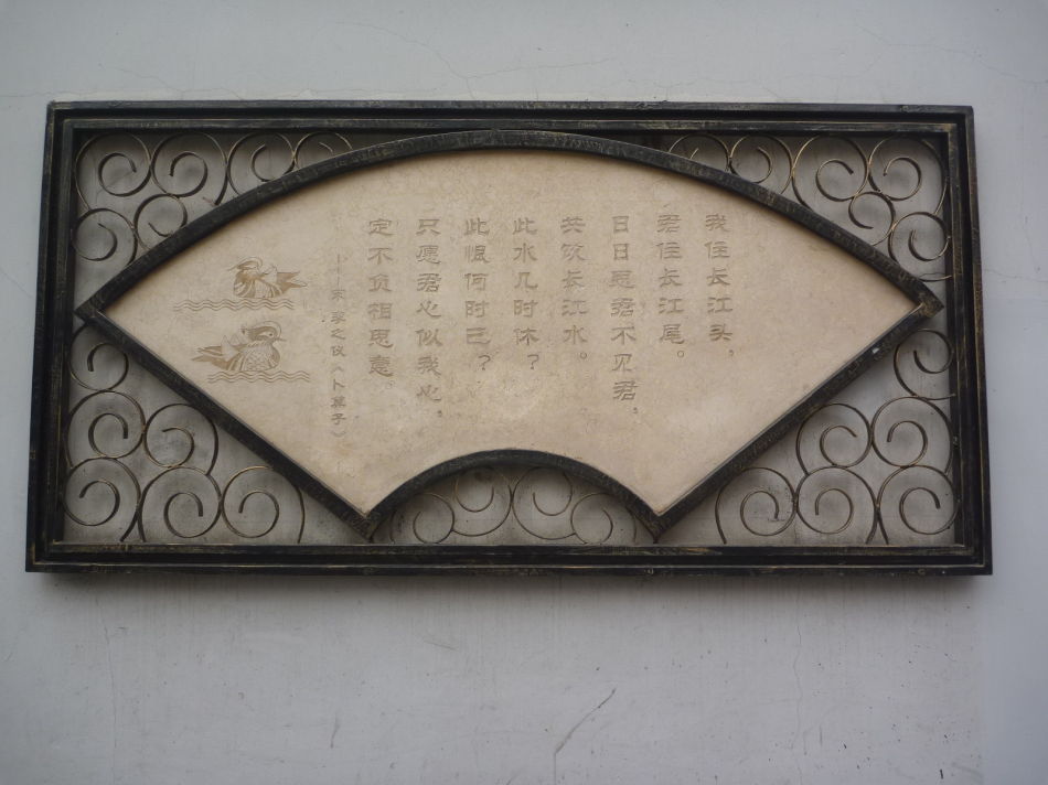 P1140458 甜爱路_上海最浪漫的路