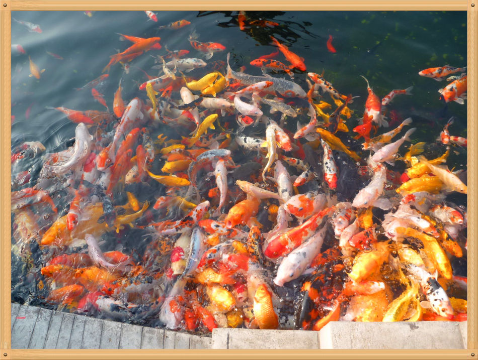 P1230331 三个大世界基斯尼记录~山佛一体东林寺(1)