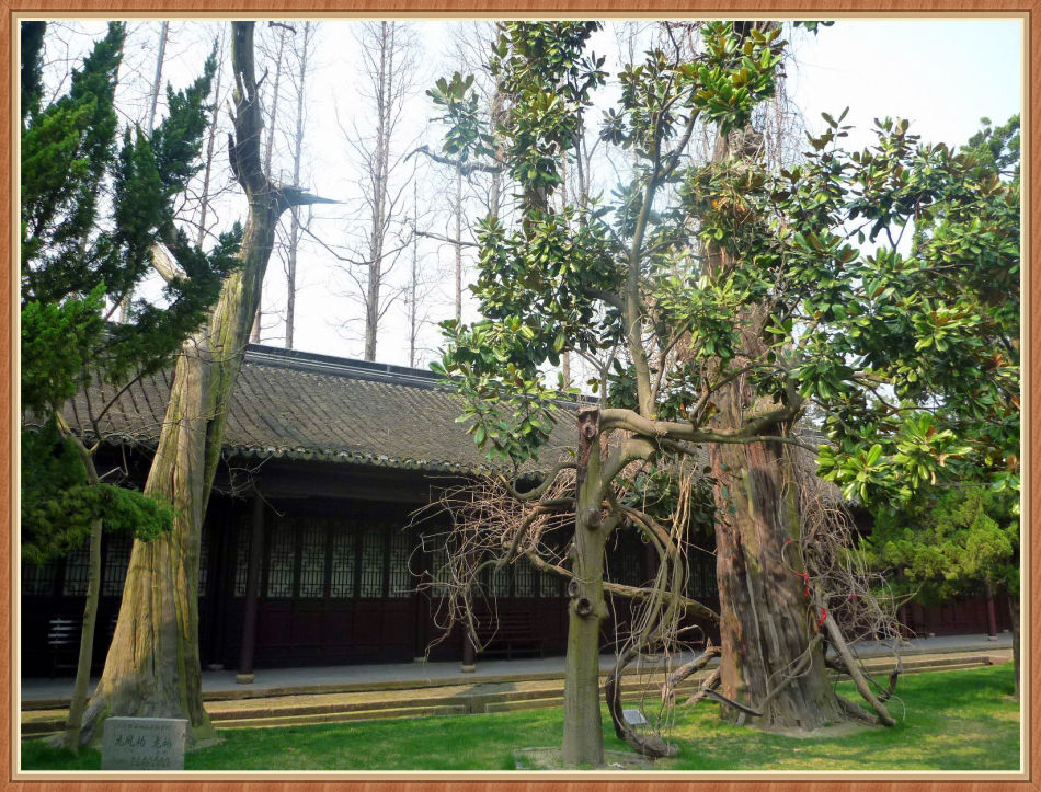 P1250238 你知道「嘉定孔庙」“吴中第一之称”吗?