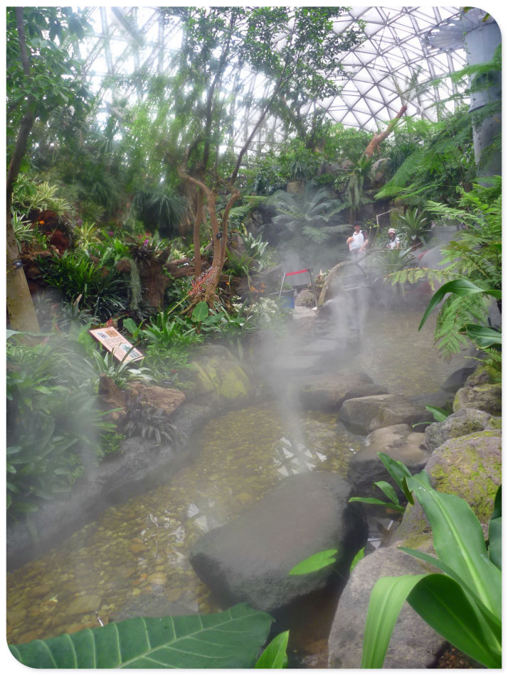 P1060222 你见过见血封喉吗?辰山植物园~珍奇植物馆