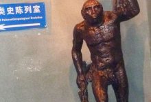 上海自然博物馆(三)古人类史-知道了吗？