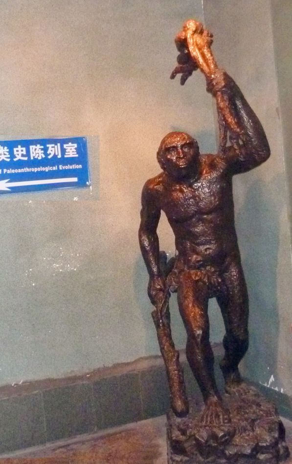 P1070547 上海自然博物馆(三)古人类史