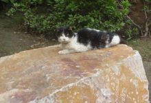 游哉.优哉~方便时打个电话-知道了吗？