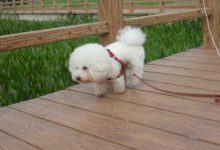 游哉.优哉~<小心地滑>-知道了吗?