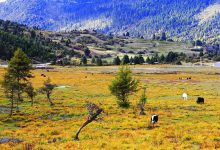 林芝的秋天,才是你最不该错过的人间天堂!-知道了吗?