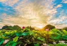 最佳旅行地!每个都是18~22℃的夏天!-知道了吗?