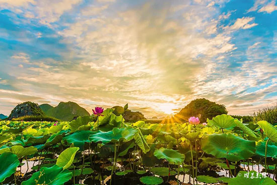 配图 最佳旅行地!每个都是18~22℃的夏天!