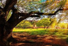 3k不到出国玩一圈，LP旅行清单第1名，是时候去pick了-知道了吗？