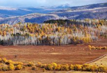 中俄边境私藏了个世外桃源，美若油画却即将消失，此生不去心不安！-知道了吗？