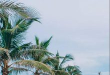 ins上最火的景点，月薪3000轻松走起，分分钟美哭你。-知道了吗？