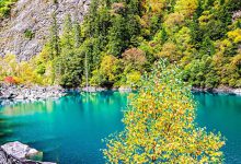 川西又一秘境曝光,风景媲美九寨,你一定没去过!-知道了吗?