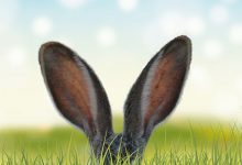 总觉得耳朵不好使,是该掏耳屎了?-知道了吗?