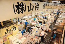 比日本海鲜厂制度还自由的，是这些新鲜有味道的海鲜市场…-知道了吗？