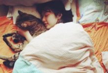 为什么下雨天睡觉特别舒服？-知道了吗？