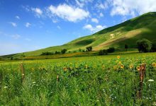 新疆最美8条自驾路线,有生之年争取走一遍!-知道了吗?