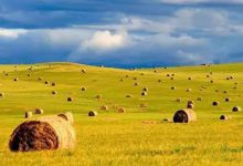 夏天千万别去内蒙古！我是认真的...-知道了吗？