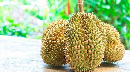 榴莲 榴莲的味道,为什么这么臭?