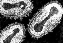 天花:人类与疾病斗争中的唯一胜利-知道了吗?