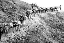 这3方面暴露日军不足,太烂的交通,残疾的工业及呆板的战术?-知道了吗?