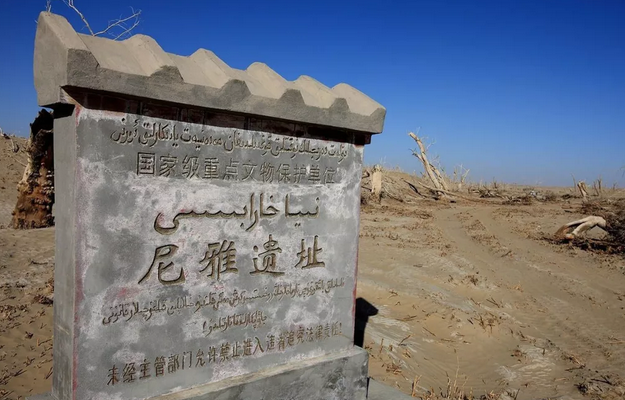 尼雅遗址是汉代西域的精绝国古城遗址 中国出土一件汉代宝物,上面有8个大字,专家:中国将成世界第一