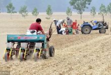 农村种植大户出现“退租”潮,现在种地真的不赚钱吗?-知道了吗?