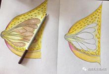 如何让哺乳不影响身材-知道了吗？